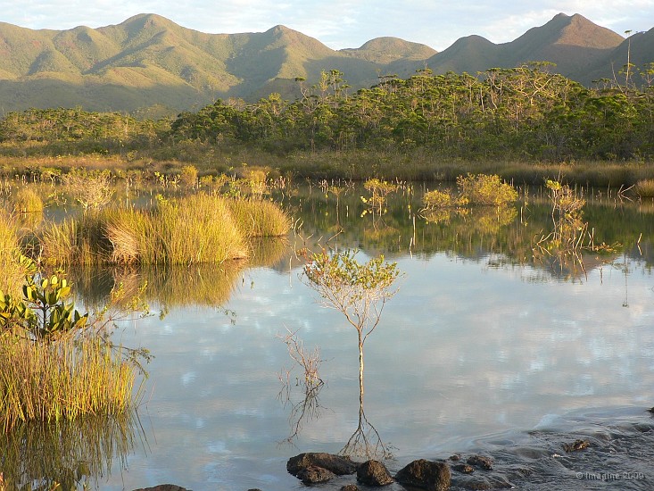 77- Reflets sur le creek Pernod.JPG
